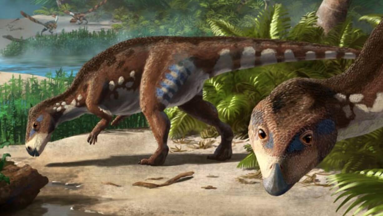 Ученые открыли новый вид динозавра-карлика размером с собаку